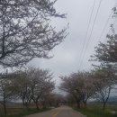 황금족발목포족발평화 이미지
