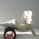 서초중앙로20길 21 이미지