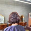살롱드249 이미지