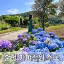 광주 근교 숨은 수국 명소, 순천 가야정원 수국 후기