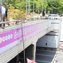 탄방지하차도 이미지