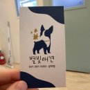 별빛 애견호텔 이미지