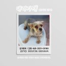 동명동주민센터 이미지