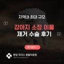 분당파크뷰동물병원 | 분당동물병원 강아지 소장 이물질 제거 수술 후기