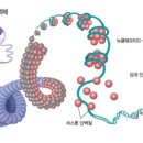 보람메딕스 네이버블로그