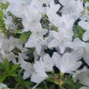 용정한의원 이미지