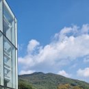 남시안경 이미지