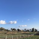 구들티농장1 | 제주도에서 일주일동안 살아남기