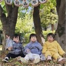 더불어숲어린이집 이미지