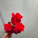 장미축산유통