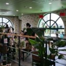 봄을꿈꾸는카페 이미지