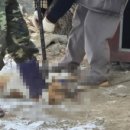 청원동물병원 이미지