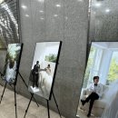 강남-221 | 다이렉트 웨딩박람회 스튜디오 상담 후기