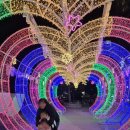 광안어패류시장 이미지