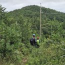 서해랑길 76코스 서산 *구도항~팔봉초등학교* (25.09.13) 이미지