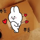 H1526 | &#39;하루앤 동안촉촉 크림&#39; 건성피부 사용 후기!