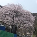 (주)대천향료 이미지