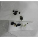 동주동물병원 이미지