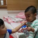 PC복댕이 이미지