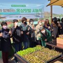 시농 이미지