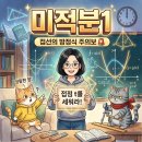 미분식