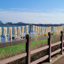 해맞이해안로 이미지