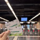 유영타운 | 스페인 바르셀로나 자유여행 가우디투어 추천! 메멘토투어 내돈내산 후기