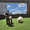 바우라움 메인캠퍼스 이미지