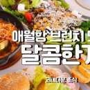 고내다운 이미지