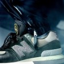 밸런스독B 이미지