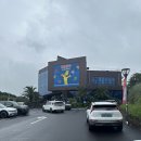 제주 하리보 해피월드 내돈내산 솔직후기 | 제주도 팝업 스토어