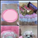 늘푸른나무병원 Daum카페