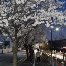 (주)비로소