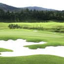 포라이즌 이미지