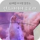 인스파이어 오로라 푸드코트 배달음식 후기