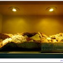 공룡알화석지방문자센터 이미지