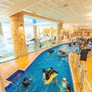 하피랜드 이미지