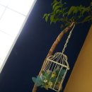 강화배꽃집 이미지