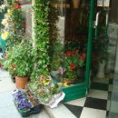 전단경로당 이미지