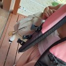 한화오션(주)외업복지관식당 | 코타키나발루여행(25.07.08~07.12)
