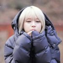 박*옹 Daum카페