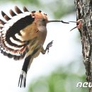 황성공원 이미지