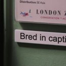 해리네 포터 이미지