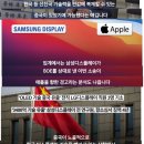 중국에 삼성 기술 넘긴 애플? 이거 진짜인지 파헤쳐봄 이미지