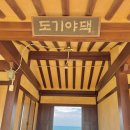 포항바다화석박물관 | 포항 핫플 여행지 코스 놀거리 관광지 당일치기 가볼만한곳 top5