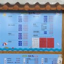 [부산 해운대 물회 맛집] ‘도시어부&amp;미쓰물회‘ 후기