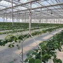 더하우스 이미지