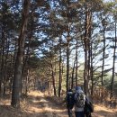 바우길 13구간 이미지