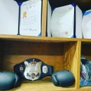 세종복싱 이미지