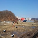 문산읍-6 이미지